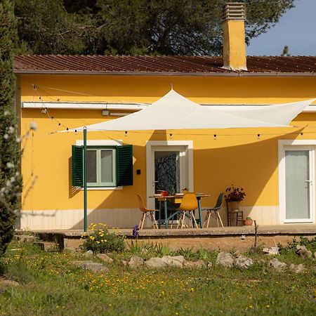Casina Al Castello - Natura E Relax 蒙特堡 外观 照片