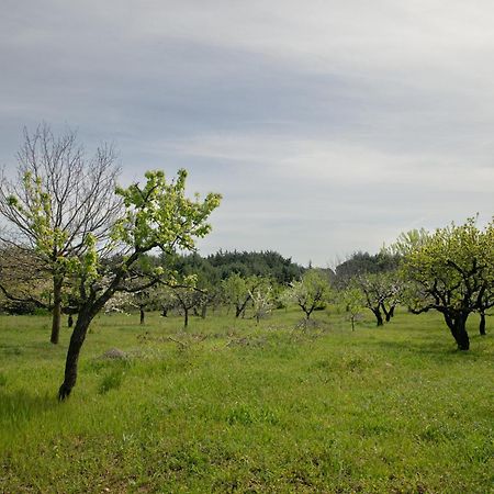 Casina Al Castello - Natura E Relax 蒙特堡 外观 照片