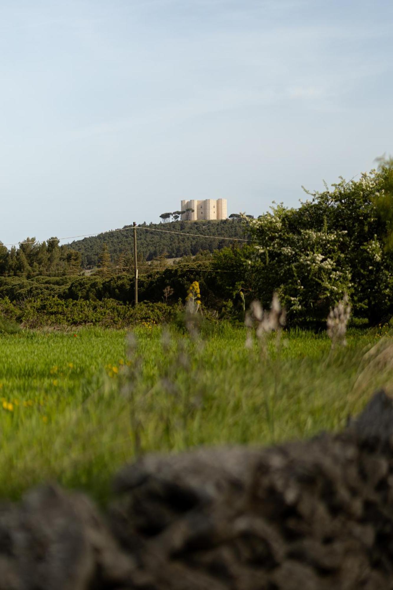Casina Al Castello - Natura E Relax 蒙特堡 外观 照片